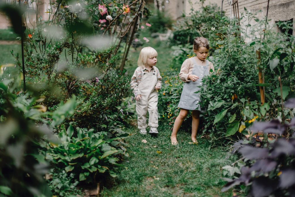 Teach Your Kids How to Garden